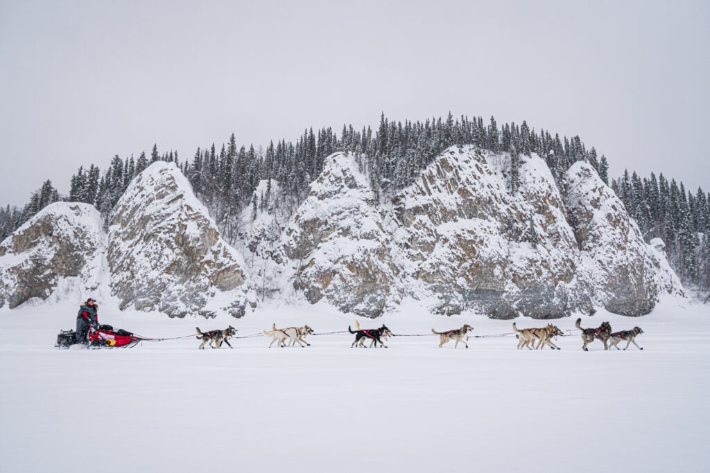 Sled Dogs leaving Ruby, Alaska for the Yukon River