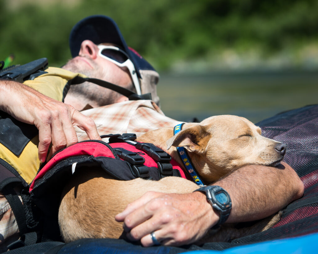 A boy and his dog take a break while rafting Hell's Canyon