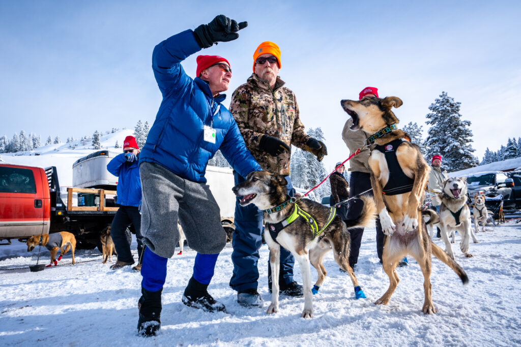dogs ready to race at the Idaho Sled Dog Challenge in McCall, Idaho.